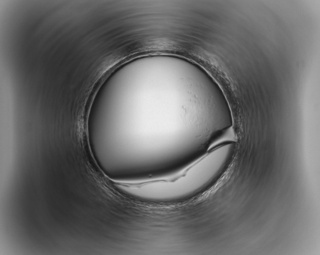 X0000093471073200711091603