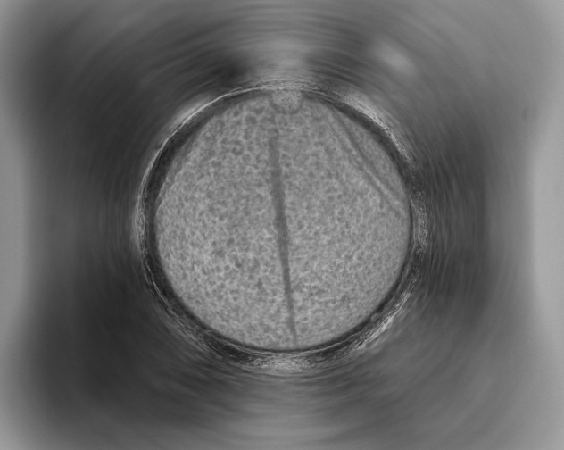 X0000093471074200711091603