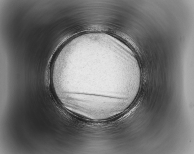 X0000093471075200711091603