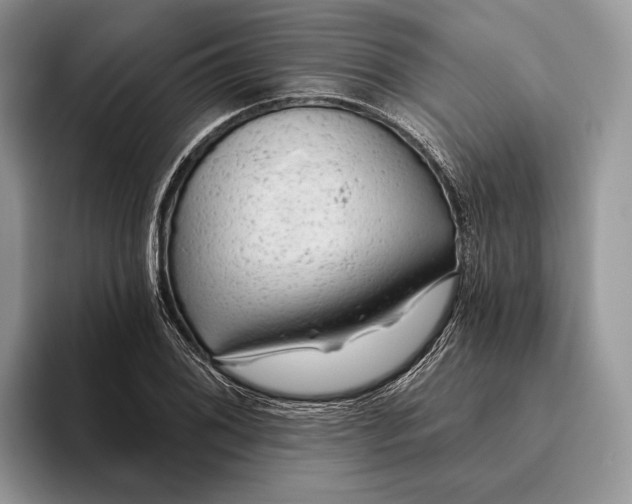 X0000093471076200711091603