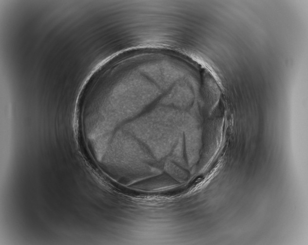 X0000093471077200711091603