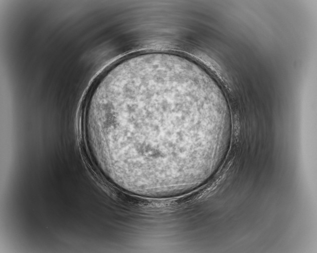 X0000093471078200711091603