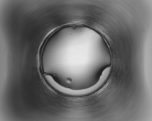X0000093471079200711091603
