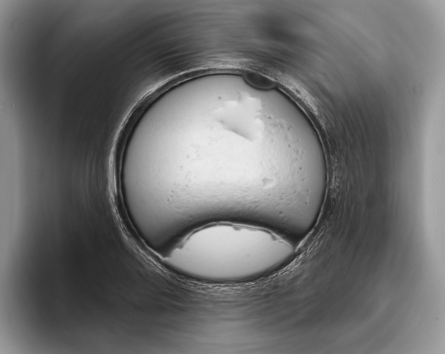 X0000093471080200711091603