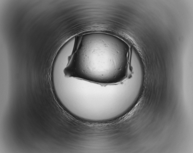 X0000093471081200711091603