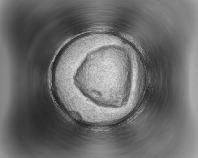 X0000093471083200711091603