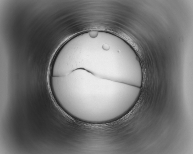 X0000093471084200711091603