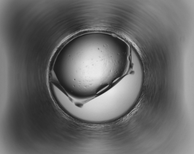 X0000093471085200711091603