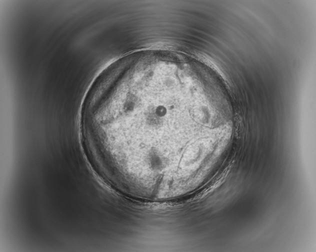 X0000093471087200711091603