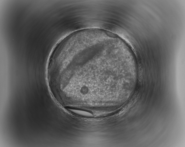 X0000093471088200711091603