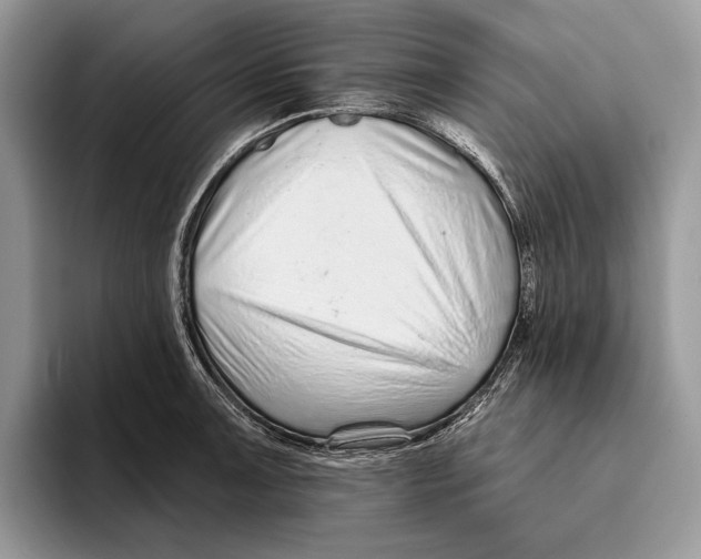 X0000093471091200711091603