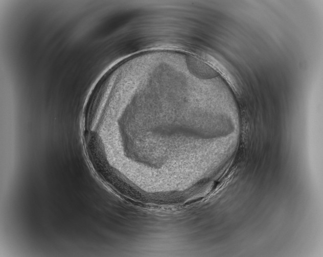 X0000093471092200711091603
