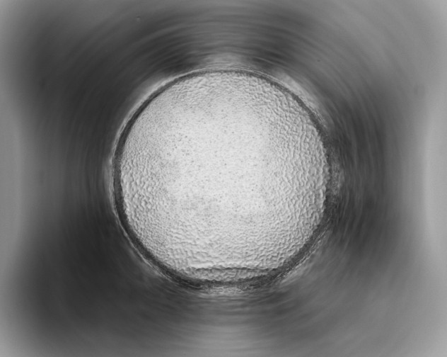 X0000093471094200711091603