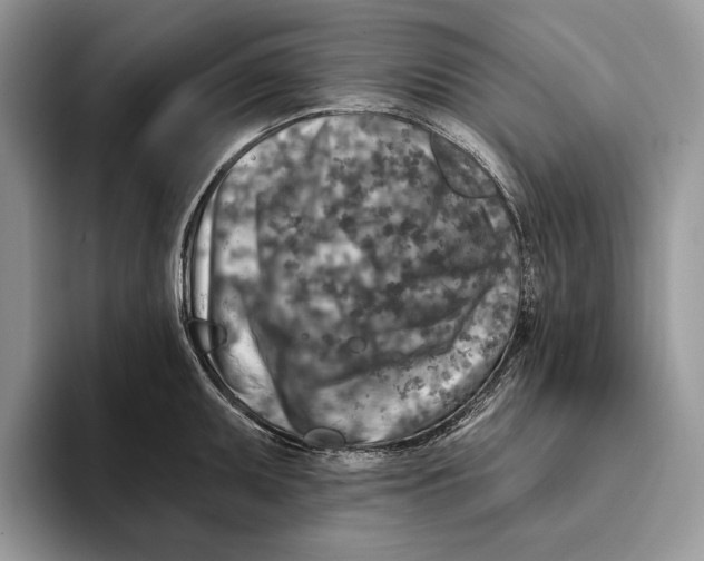X0000093471095200711091603
