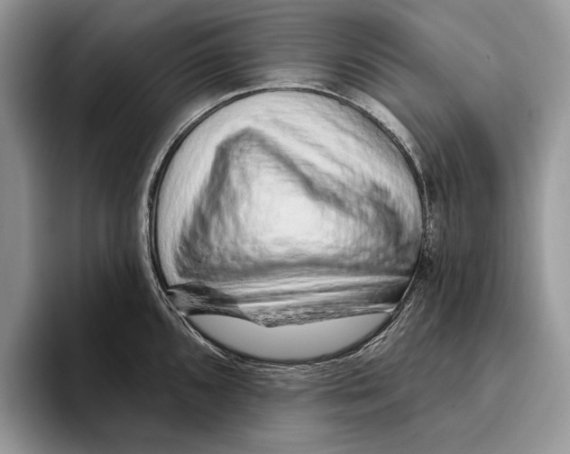 X0000093471096200711091603