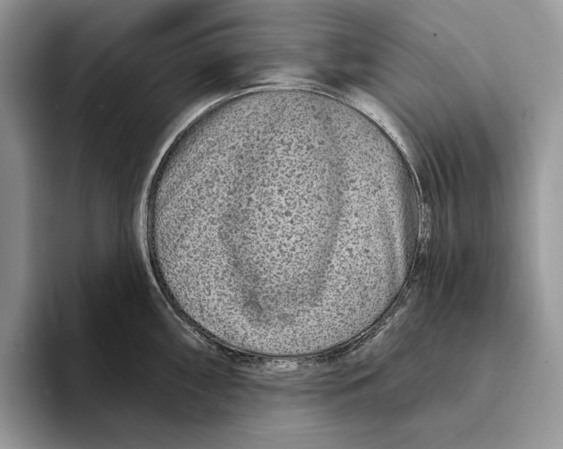 X0000093471098200711091603