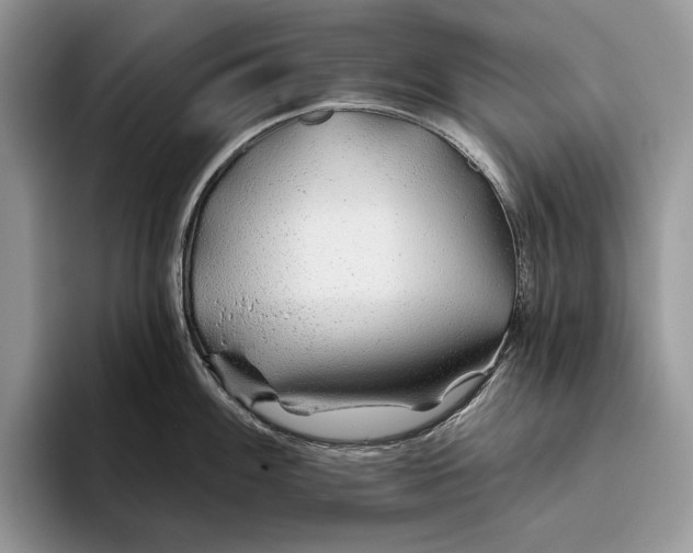 X0000093471100200711091603