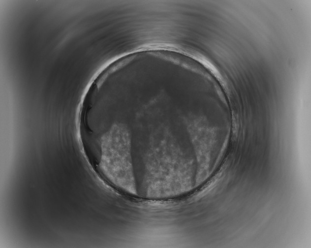 X0000093471102200711091603