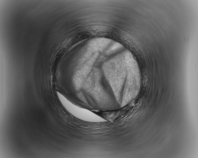 X0000093471108200711091603