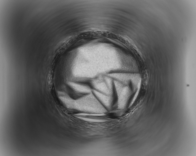 X0000093471110200711091603