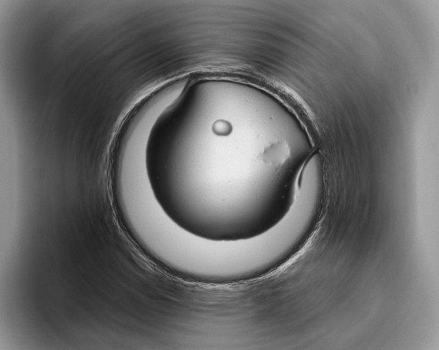X0000093471114200711091603