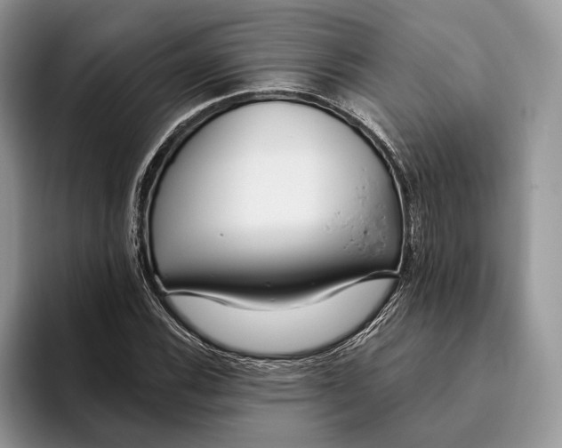 X0000093471116200711091603
