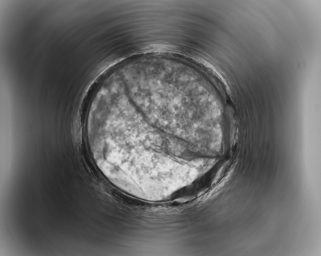 X0000093471117200711091603
