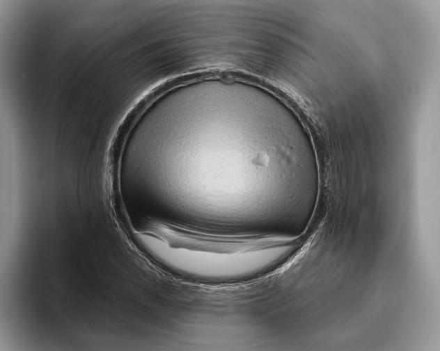 X0000093471118200711091603
