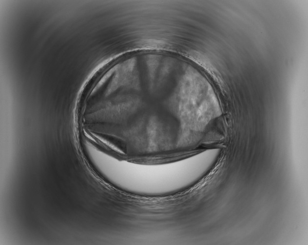 X0000093471120200711091603