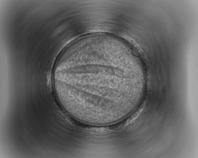 X0000093471121200711091603