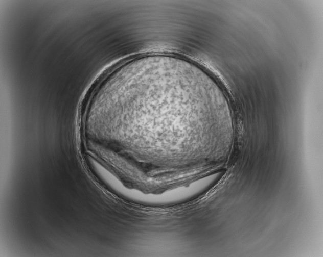 X0000093471124200711091603
