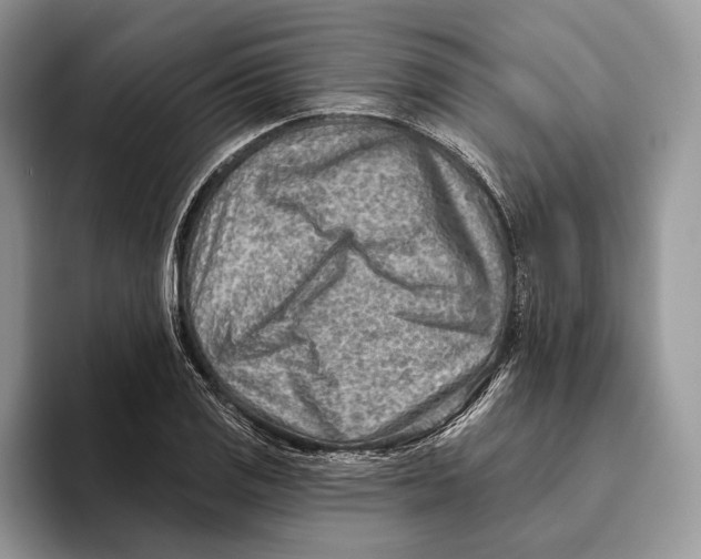 X0000093471125200711091603