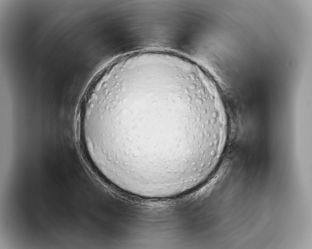 X0000093471126200711091603