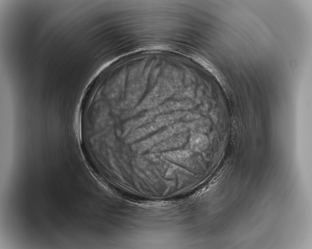 X0000093471127200711091603