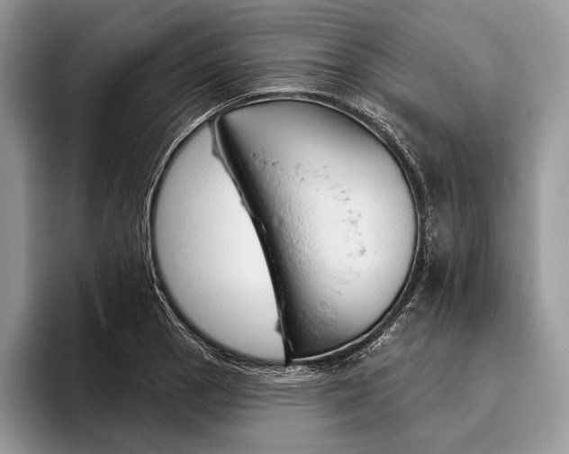 X0000093471129200711091603