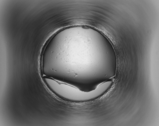 X0000093471134200711091603