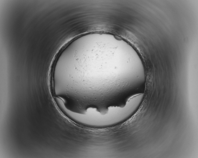 X0000093471135200711091603