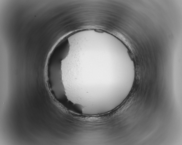 X0000093471140200711091603