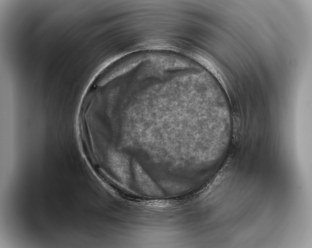 X0000093471141200711091603