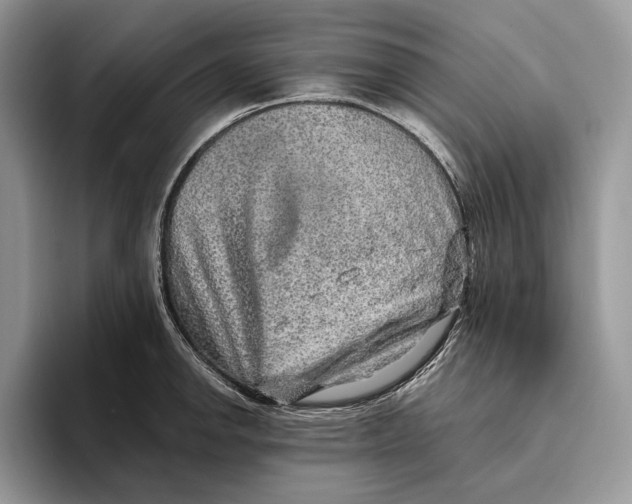 X0000093471142200711091603