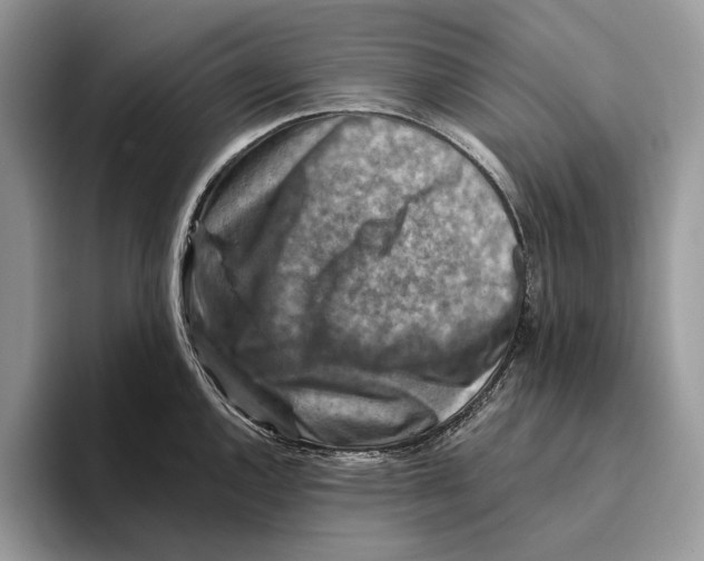 X0000093471144200711091603