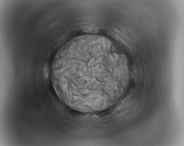 X0000093471154200711091602