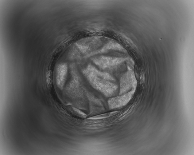 X0000093471156200711091602