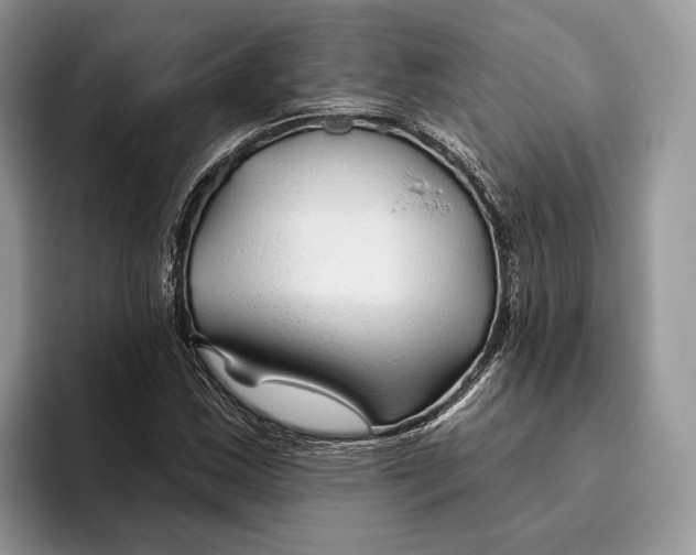 X0000093471163200711091602