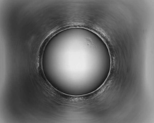 X0000093471165200711091602