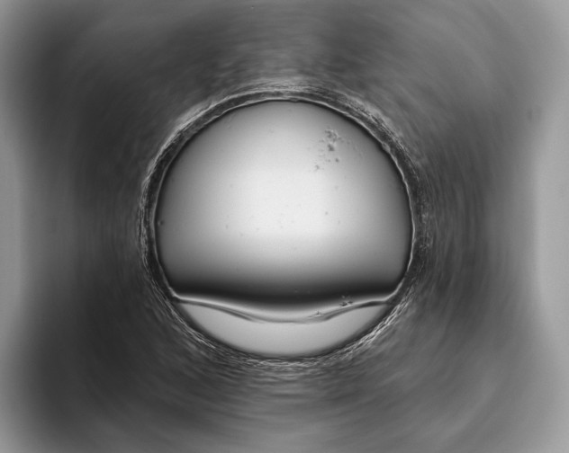 X0000093471168200711091602