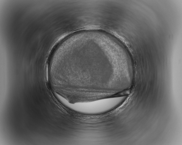 X0000093471171200711091602