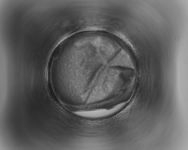 X0000093471173200711091602