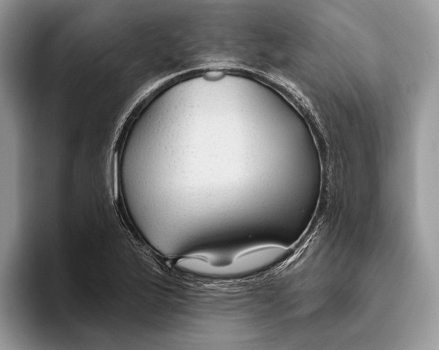 X0000093471175200711091602