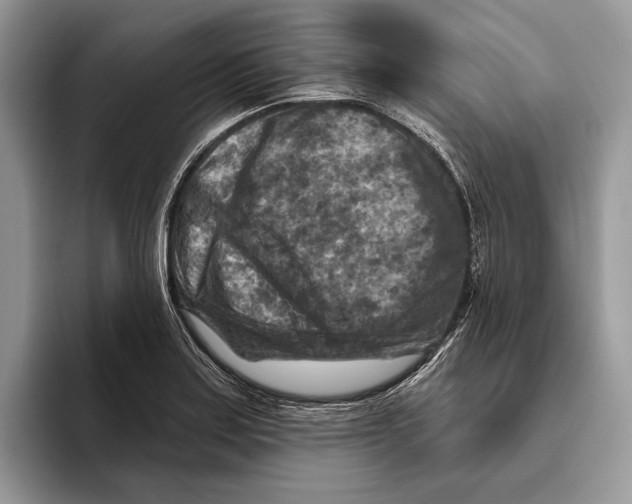 X0000093471179200711091602